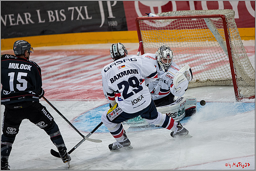 Koelner Haie - Eisbaeren Berlin, 13.11.2016